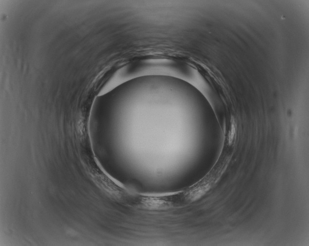 X0000087630380200705031451