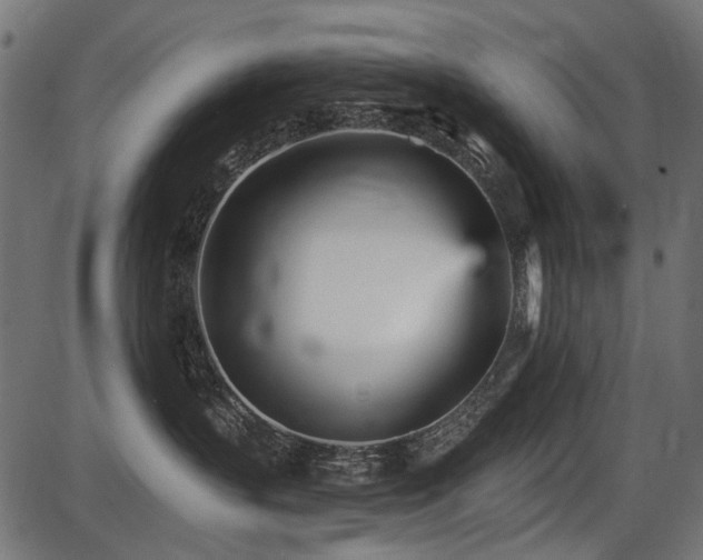 X0000087630383200705031451