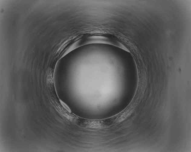 X0000087630384200705031451