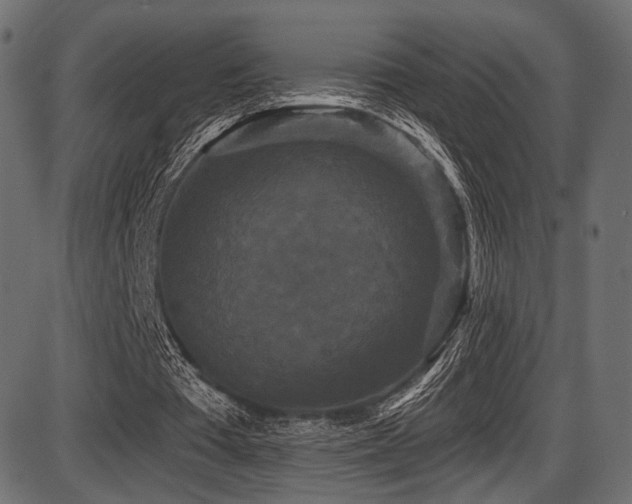 X0000087630385200705031451