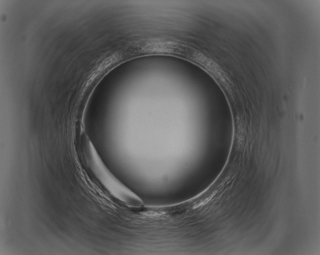 X0000087630386200705031451