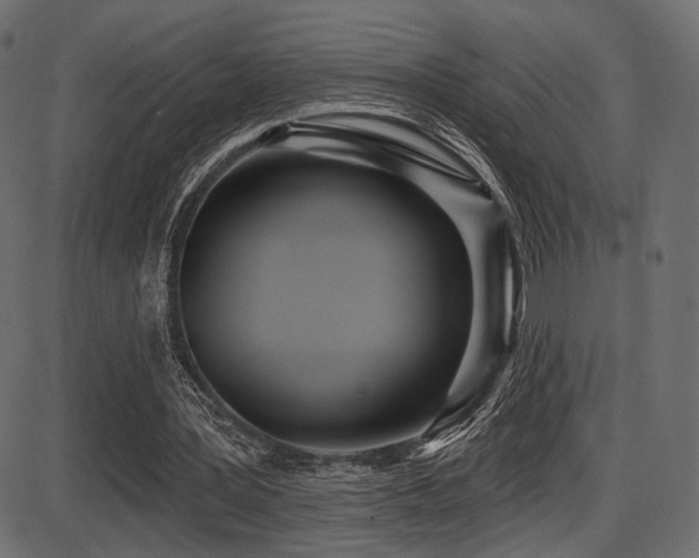 X0000087630387200705031451