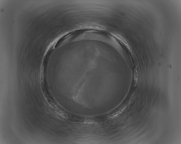 X0000087630388200705031451