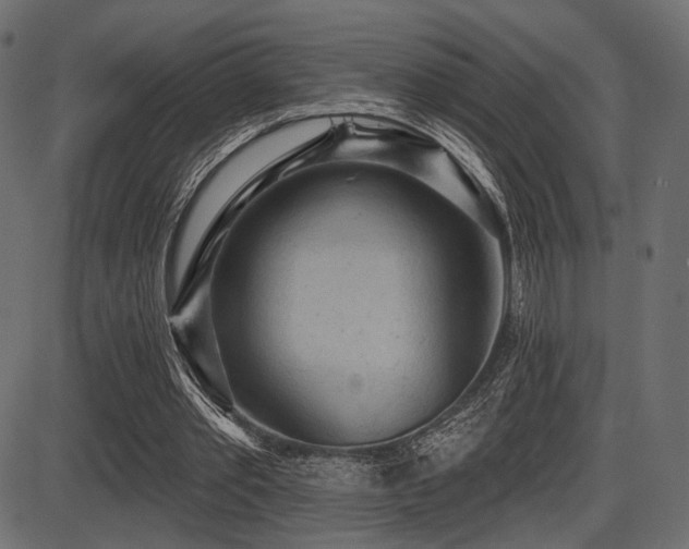 X0000087630389200705031451