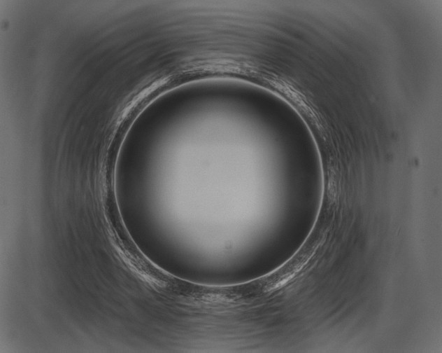 X0000087630390200705031451