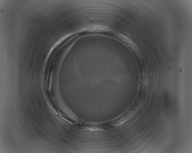 X0000087630392200705031451