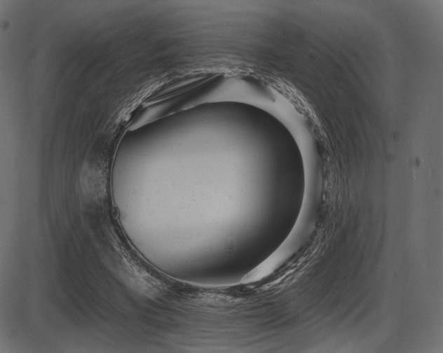 X0000087630393200705031451