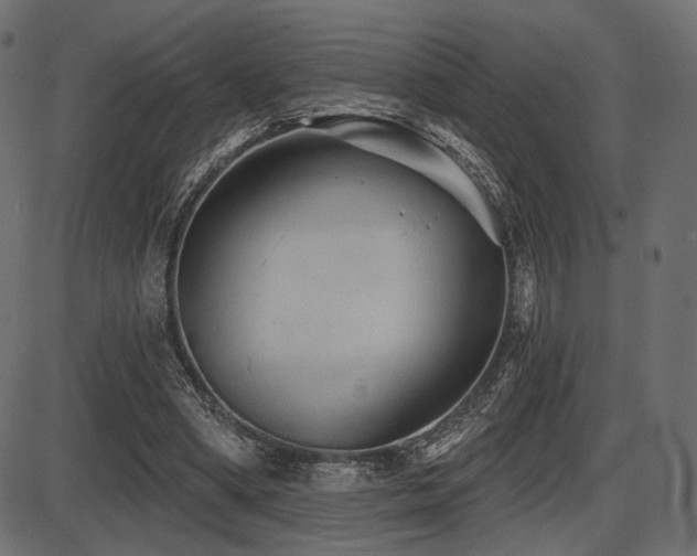 X0000087630394200705031451