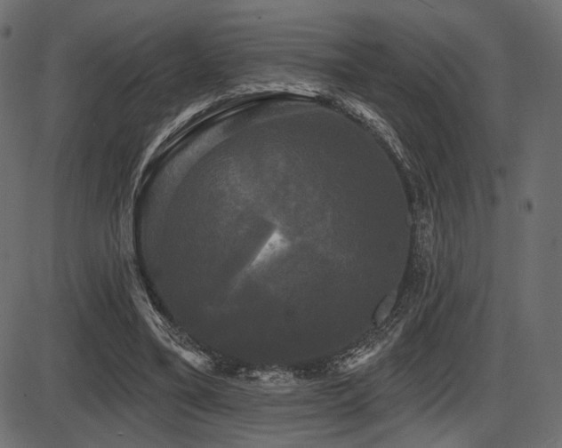 X0000087630395200705031450