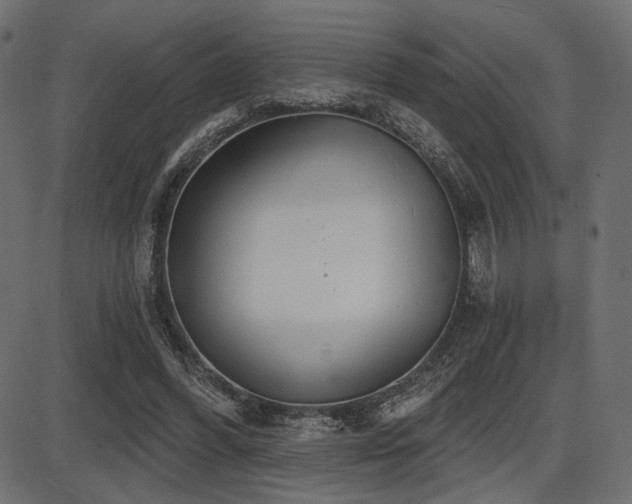 X0000087630396200705031450