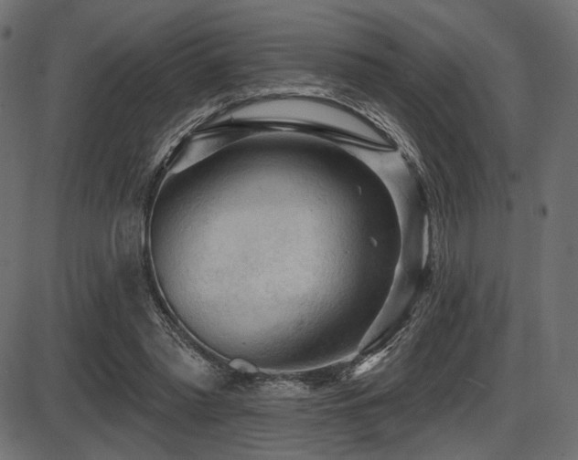 X0000087630397200705031450