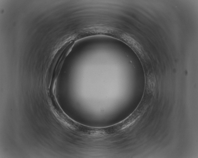 X0000087630398200705031450