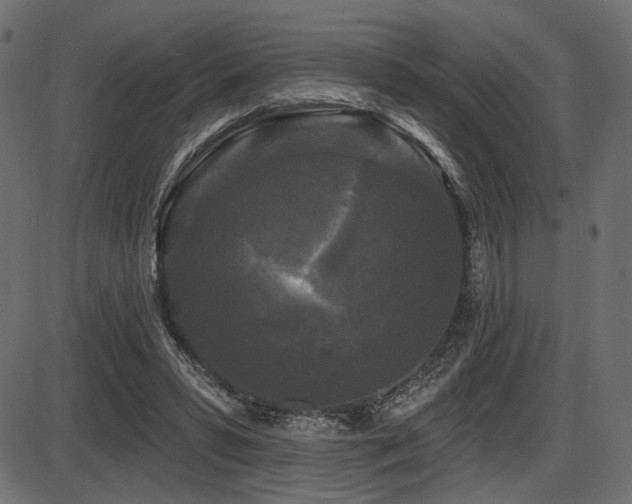 X0000087630399200705031450