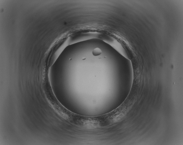 X0000087630400200705031450