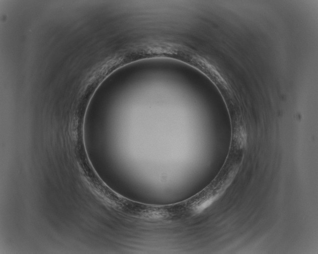 X0000087630402200705031450