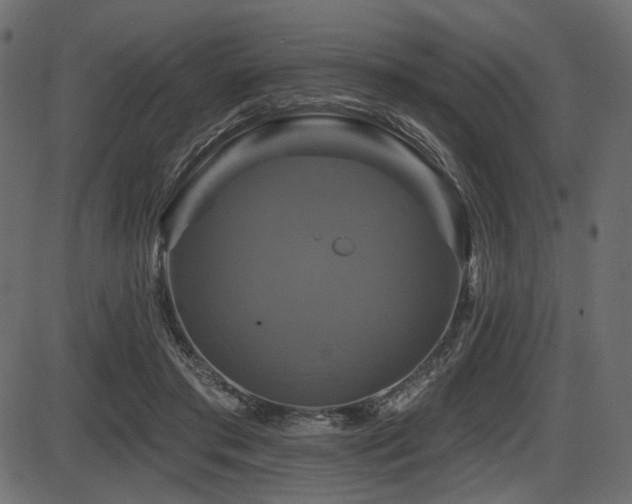 X0000087630405200705031450