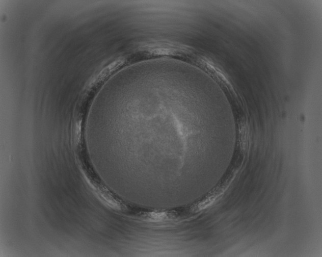 X0000087630406200705031450