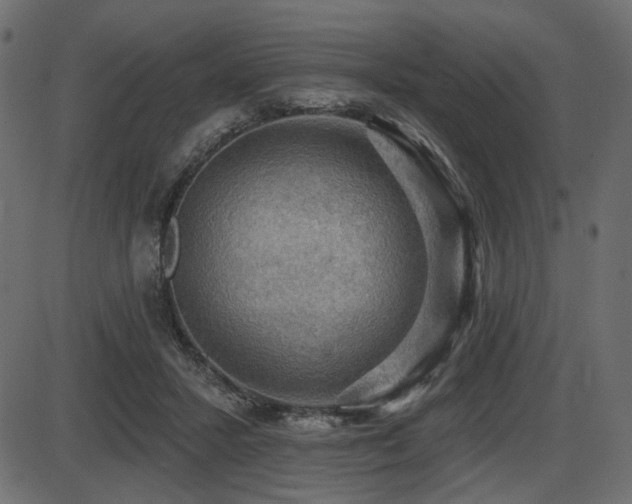 X0000087630407200705031450