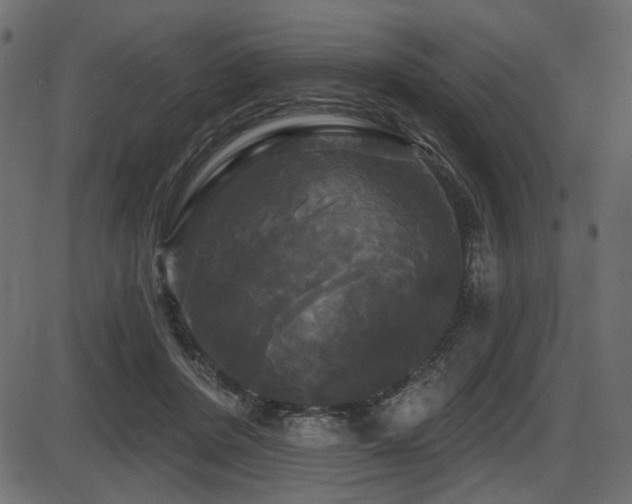 X0000087630408200705031450