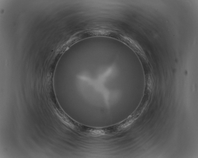 X0000087630409200705031450