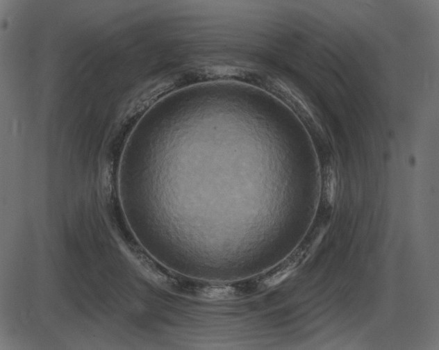 X0000087630410200705031450