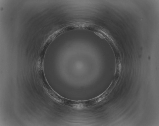 X0000087630411200705031450