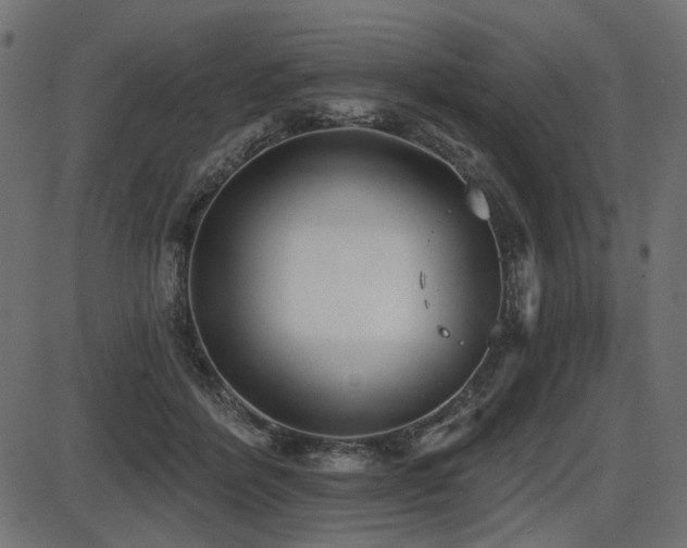 X0000087630412200705031450