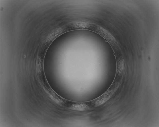 X0000087630414200705031450