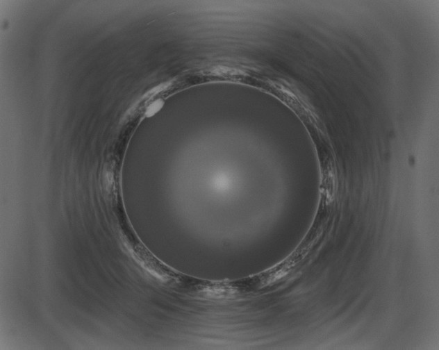 X0000087630415200705031450