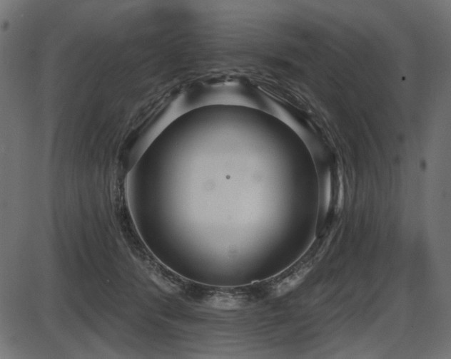 X0000087630416200705031450