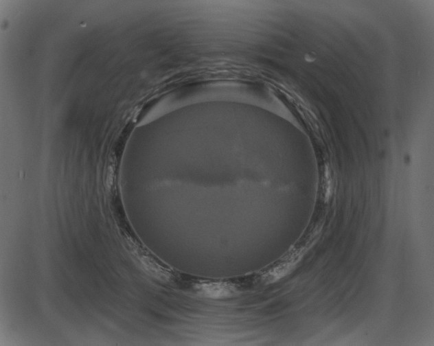 X0000087630417200705031450