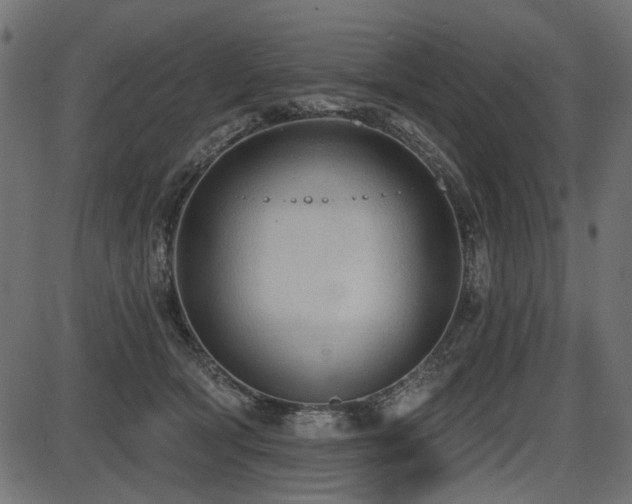 X0000087630418200705031450