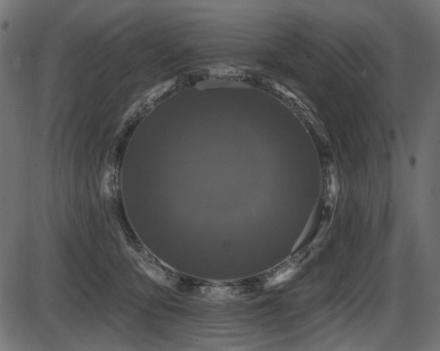 X0000087630419200705031450