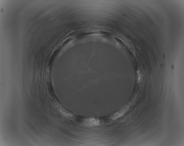 X0000087630421200705031450