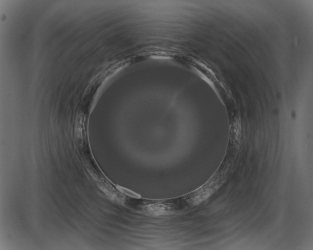 X0000087630423200705031450