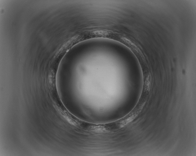 X0000087630424200705031450