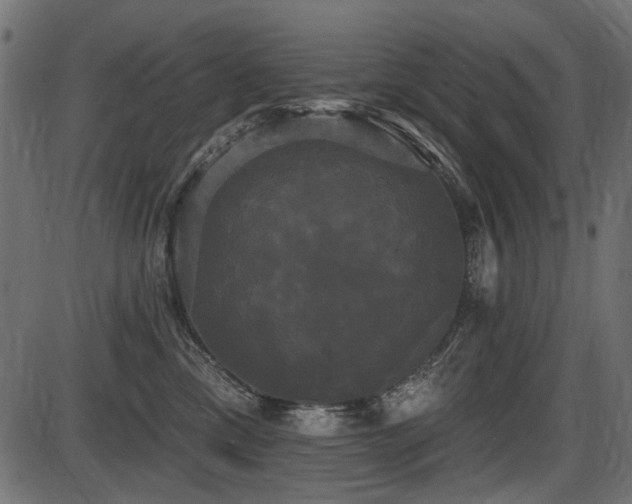 X0000087630425200705031450