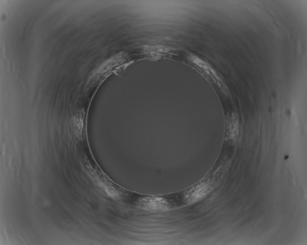 X0000087630427200705031450