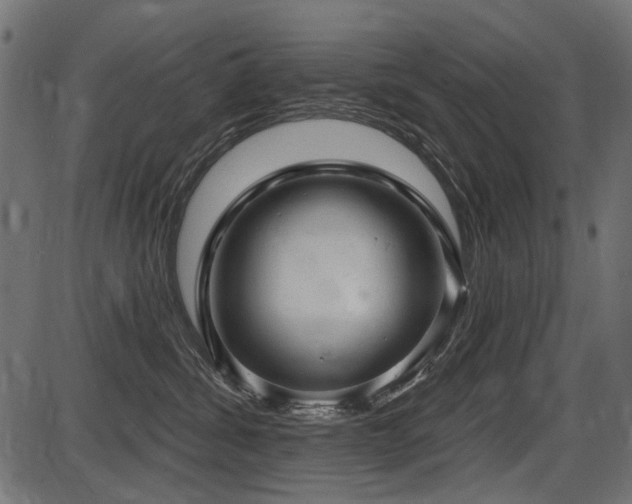 X0000087630428200705031450