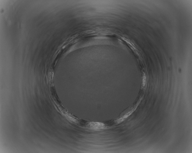 X0000087630429200705031450