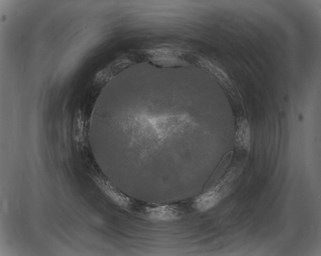 X0000087630430200705031450