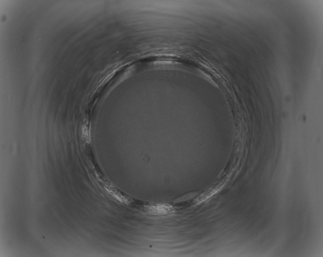 X0000087630432200705031450