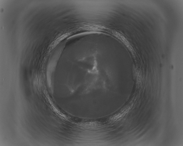 X0000087630433200705031449