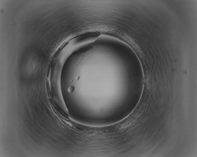 X0000087630434200705031449