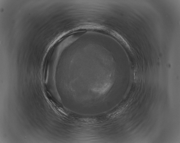 X0000087630436200705031449