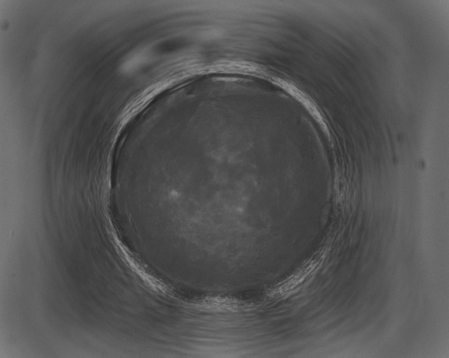 X0000087630437200705031449