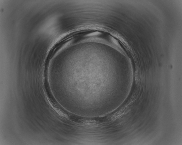 X0000087630438200705031449