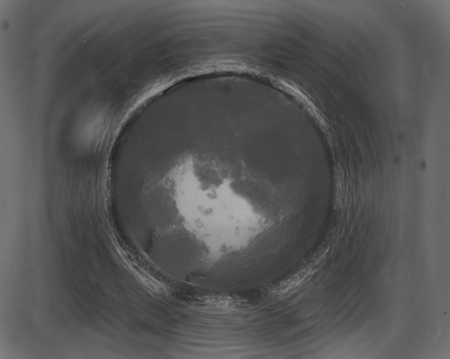 X0000087630439200705031449