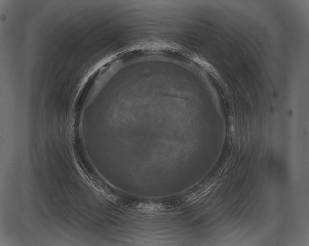 X0000087630440200705031449