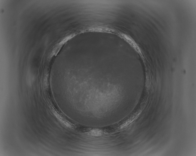 X0000087630441200705031449